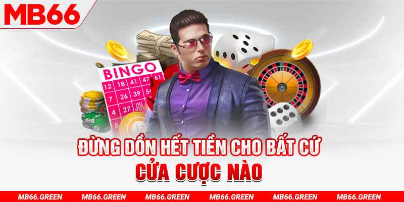 Baccarat MB66 - Khám Phá Thế Giới Baccarat Đỉnh Cao 2024 6 Học hỏi kinh nghiệm từ chuyên gia Baccarat MB66 chuyên nghiệp