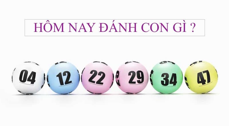 Đề Về 20 Hôm Sau Đánh Con Gì? Phương Pháp Chốt Số Chuẩn 2 Tìm hiểu thông tin đề về 20 hôm sau đánh con gì?